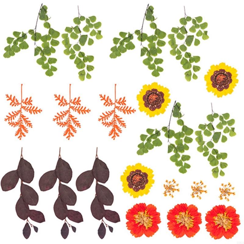 Natural Pressed Dried Flower F - Resin Craft Ideas 评论和价格